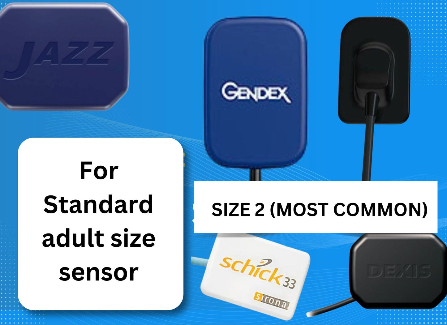 Anterior 4-Pack Holder Kit