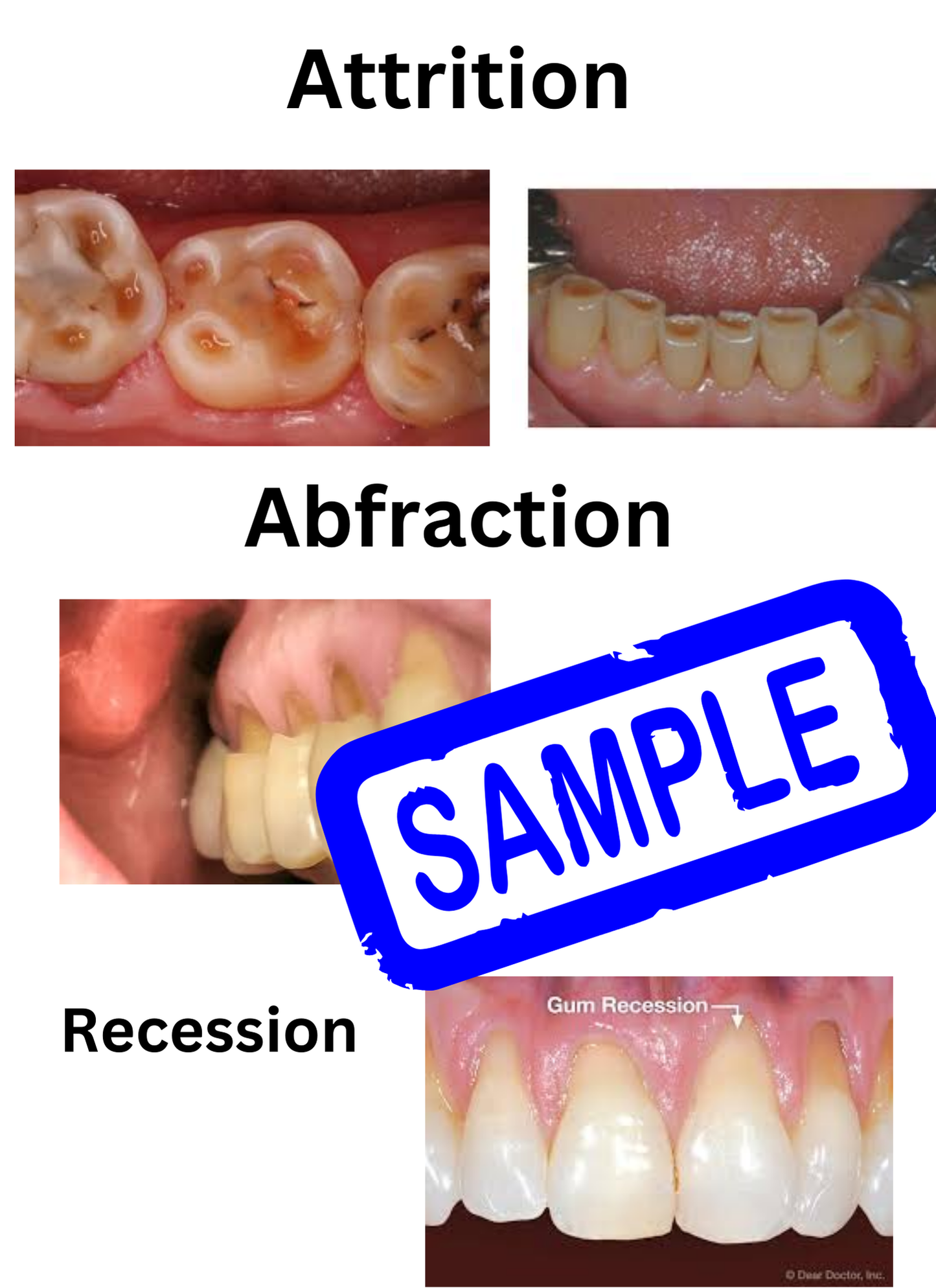 Tooth Talk HandyBook (Dental Education Catalog for patients)