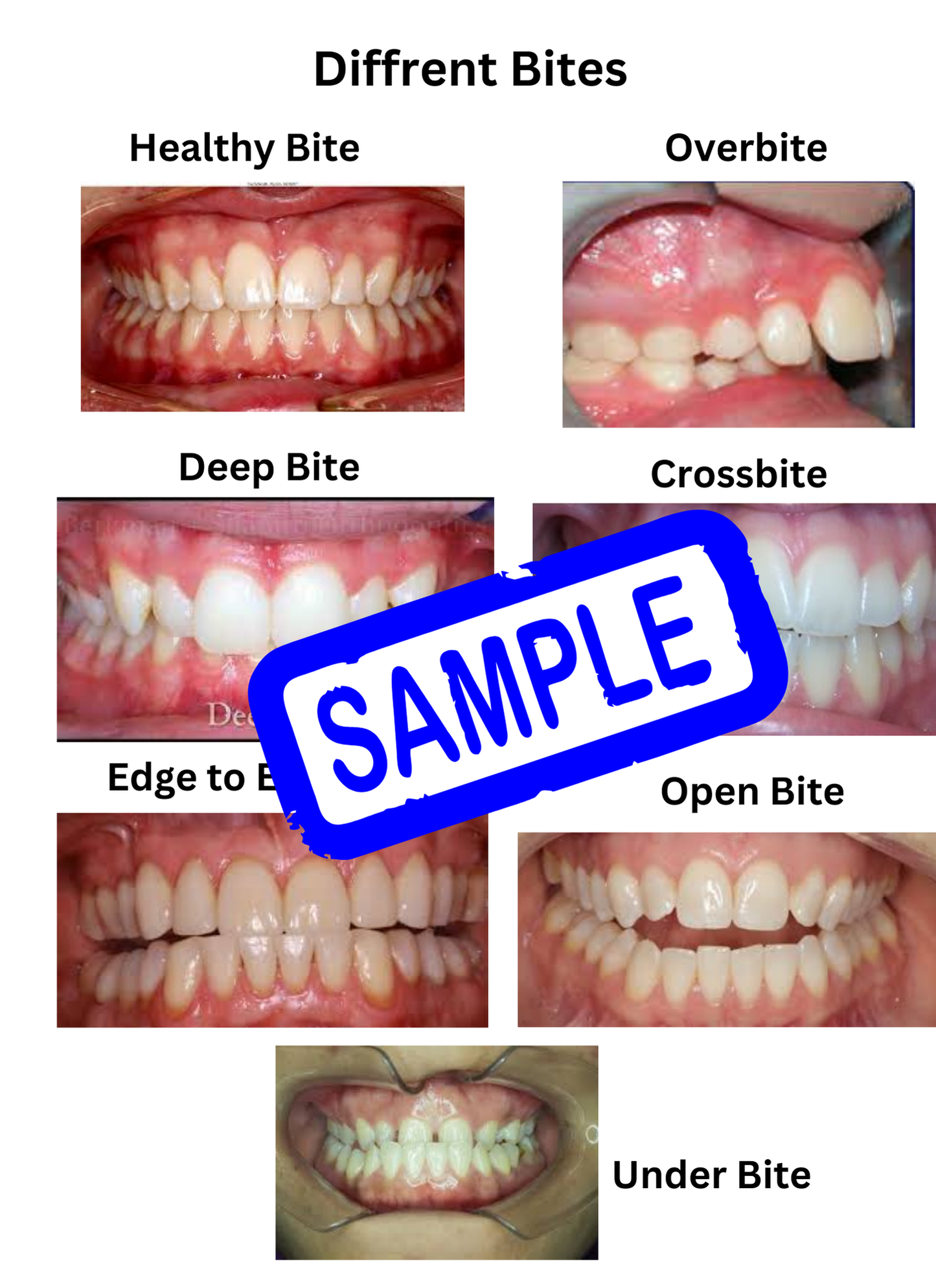 Tooth Talk HandyBook (Dental Education Catalog for patients)