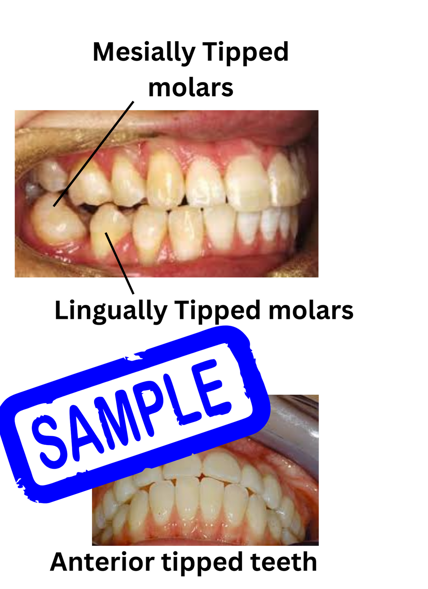 Tooth Talk HandyBook (Dental Education Catalog for patients)
