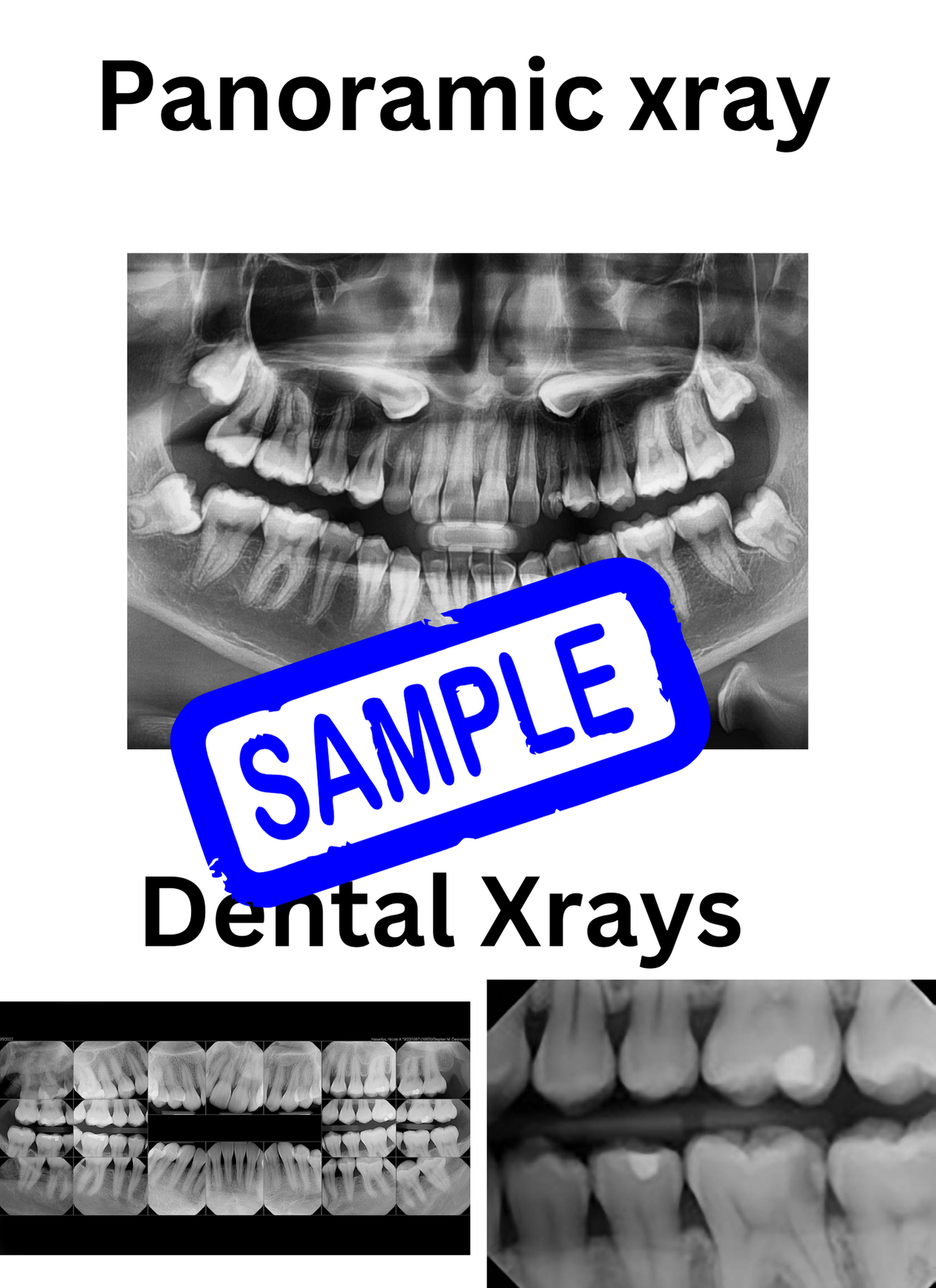 Tooth Talk HandyBook (Dental Education Catalog for patients)