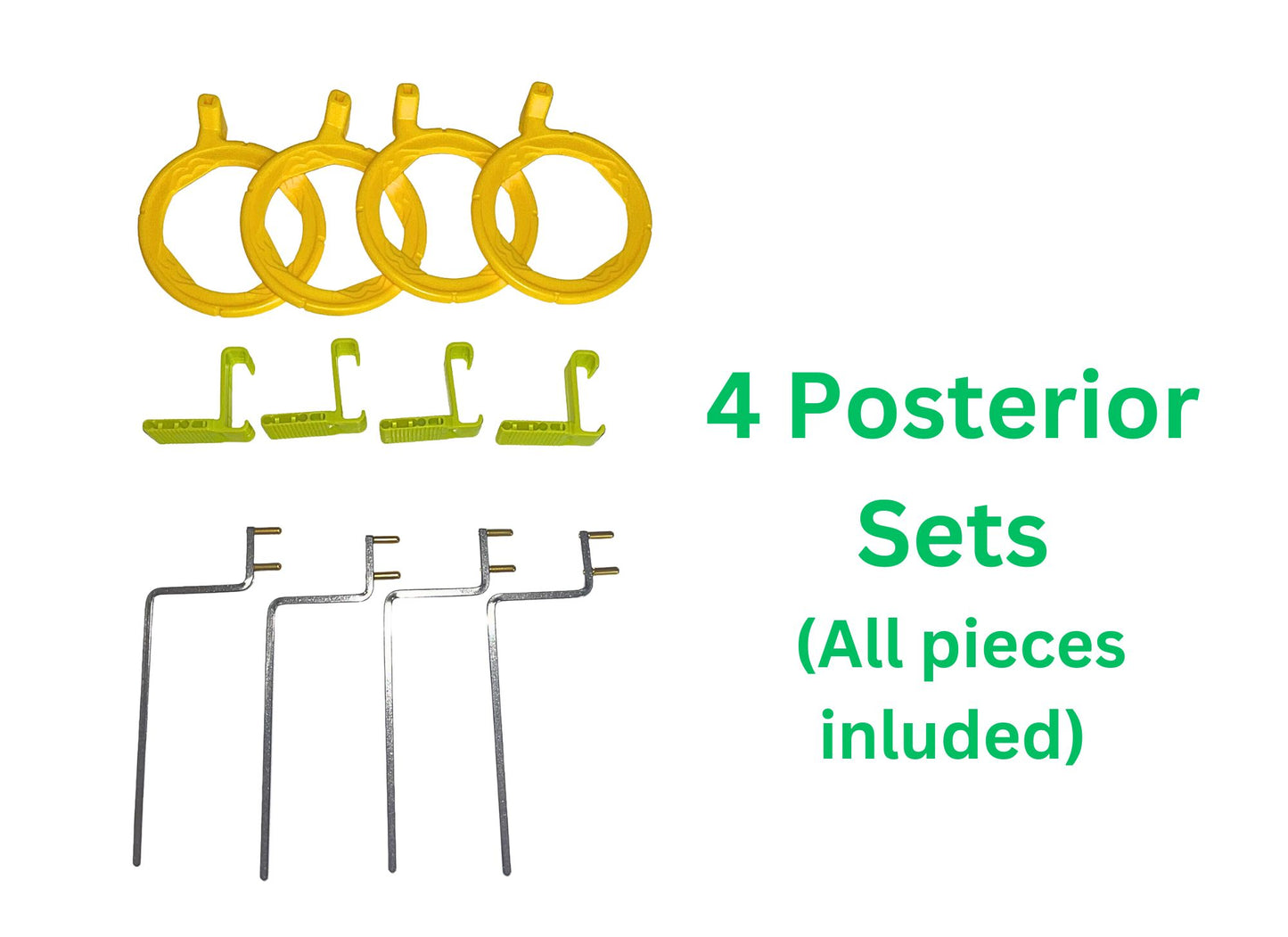 Posterior 4pk